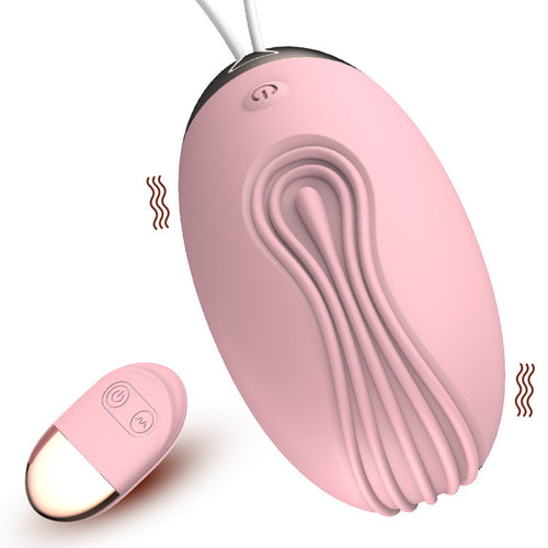 Lelo Little Whale Vibromasseur télécommandé sans fil rechargeable caché portable jouet de vibration à 10 vitesses